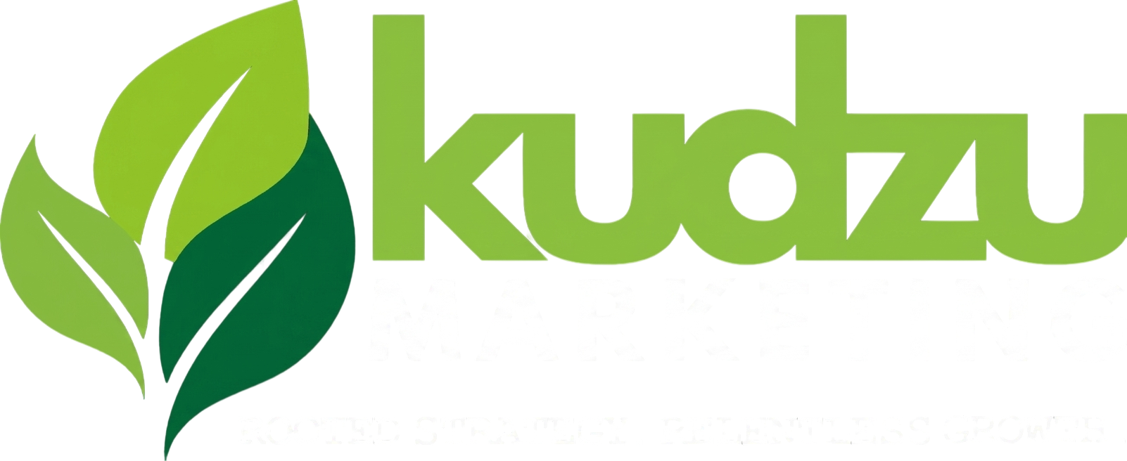 Kudzu Marketing